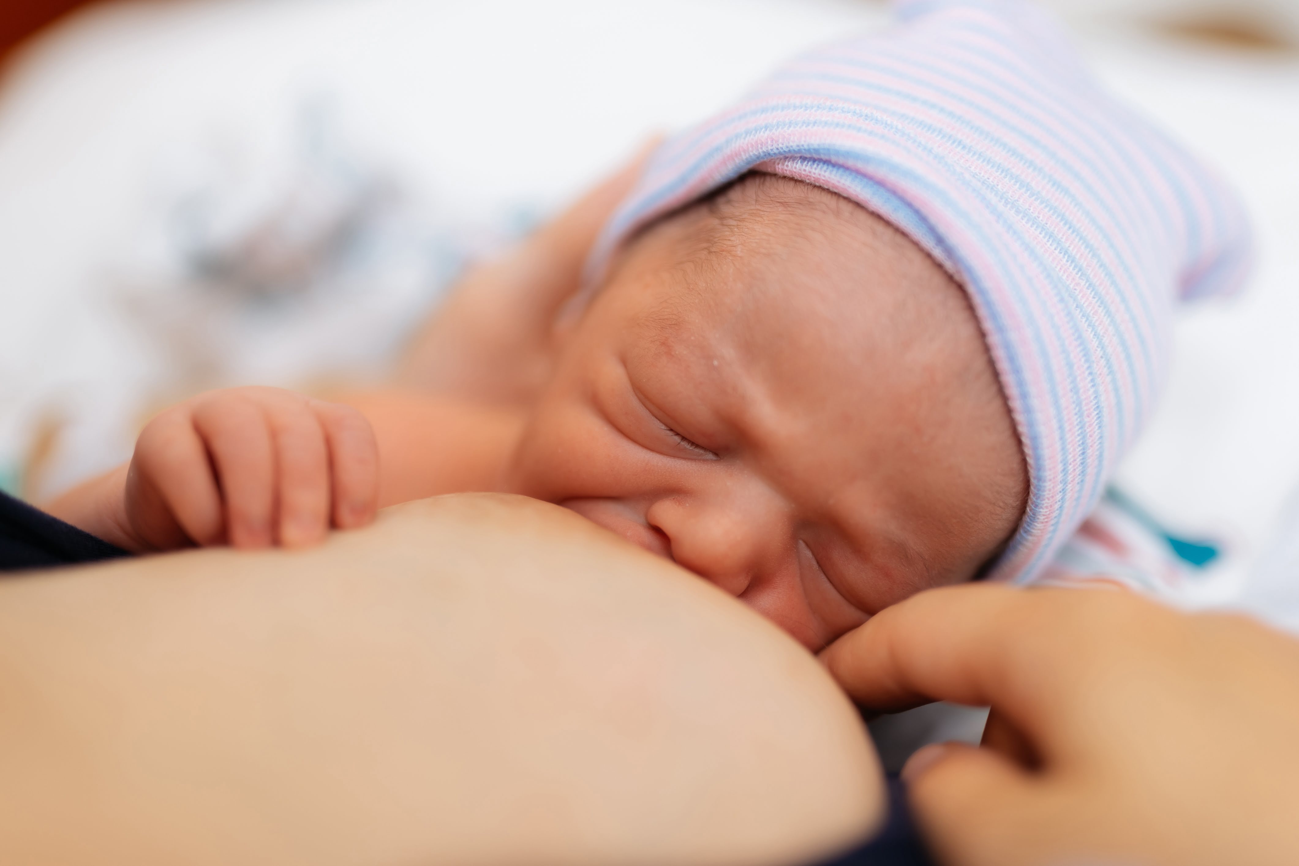 FikretMungan.Entities.Blog